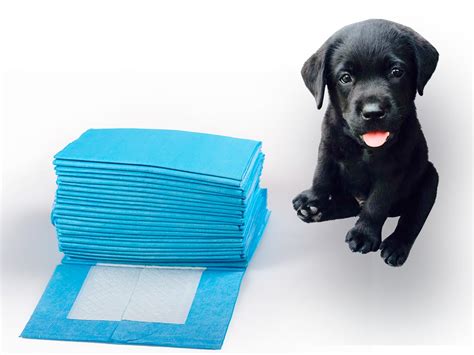 training pads walmart|disposable puppy training pads.